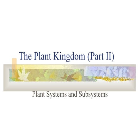 32 biology 3 11 08 10c plant systems subsystems 2