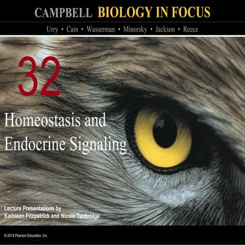 Biology in Focus - Chapter 31