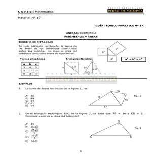32 perímetros y áreas
