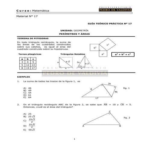 32 perímetros y áreas