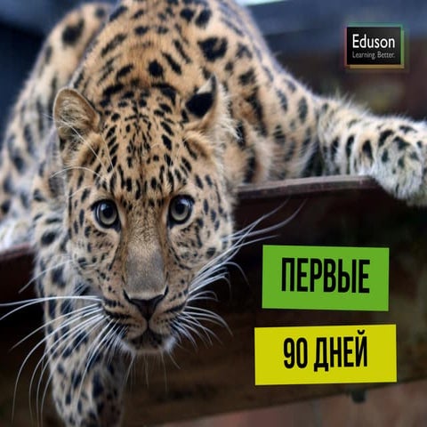 Первые 90 дней | PPT