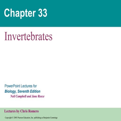 Invertebrates