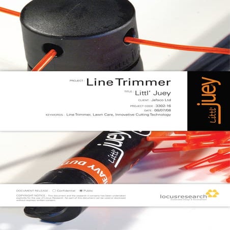 3302 16 Littl Juey Case Study(Sml)