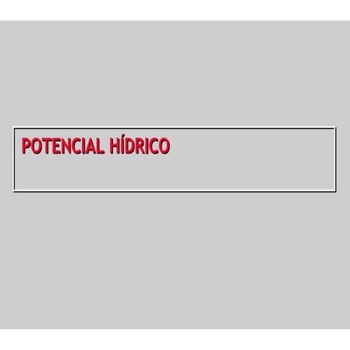 3319814 potencial-hidrico
