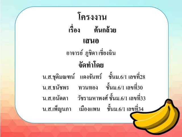 โครงงาน333