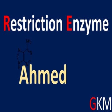 Restriction Enzyme