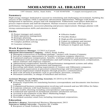 Alaa CV | DOCX
