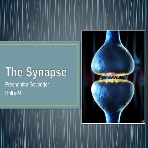 INTRODUCTION OF SYNAPSE ANATOMICAL TYPES OF SYNAPSE | PDF