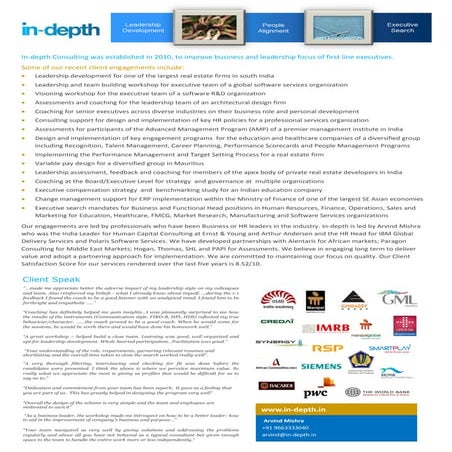 About_Indepth Consuting_2015