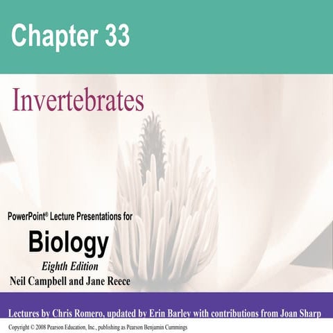 33lecturepresentation 110329065015-phpapp01