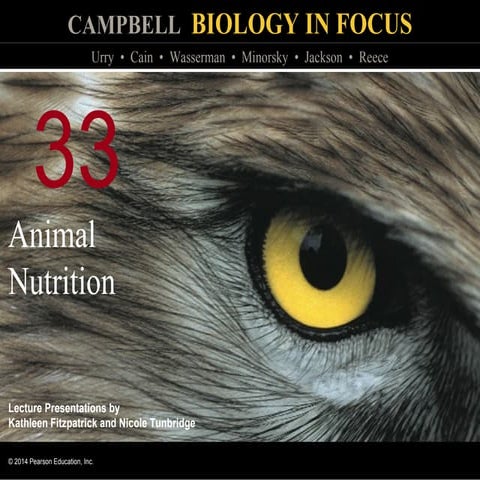 Biology in Focus - Chapter 33