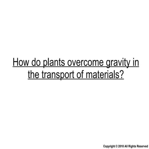 Chapter 9 Transport in Plants Lesson 3 - The 3 mechanisms in water ...