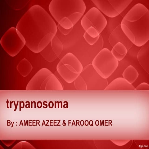 trypanosoma 
