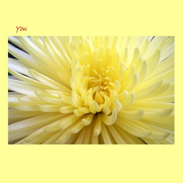 Personalized You Color Me With Your Kisses book