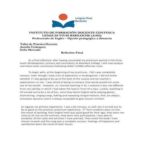 Final Reflection - 3 levels - Mercado Sofia