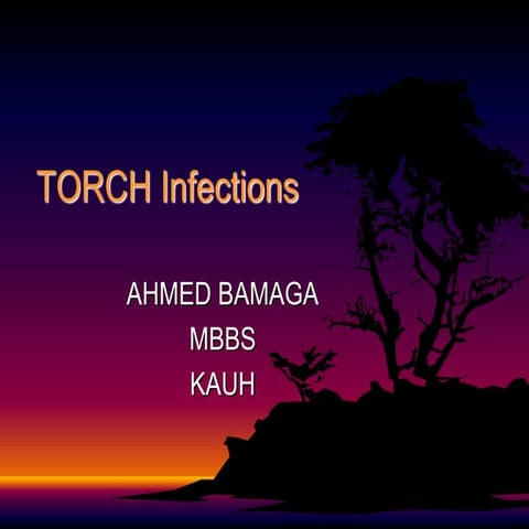 34061_TORCH_maranich.ppt