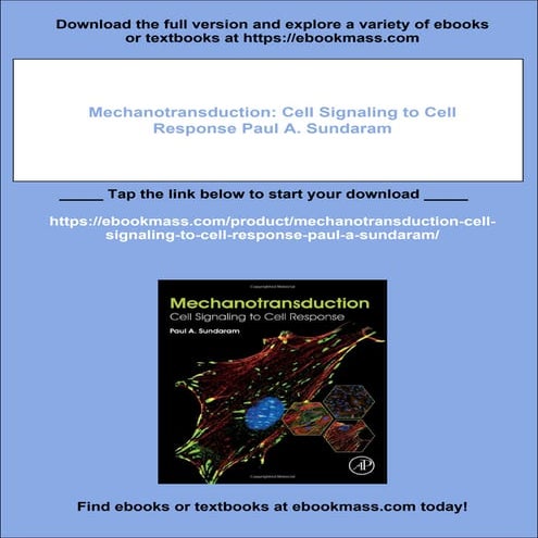 Mechanotransduction: Cell Signaling to Cell Response Paul A. Sundaram