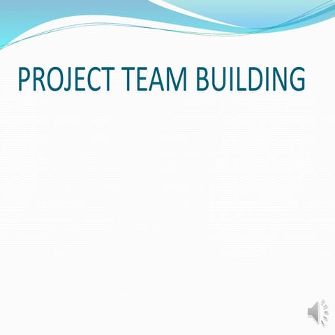 PROJECT TEAM BUILDING