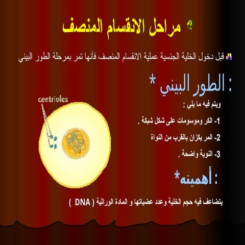 34866725.ppt--------------------------------------------------------