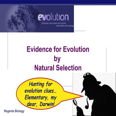 Regeants Evidence for Evolution