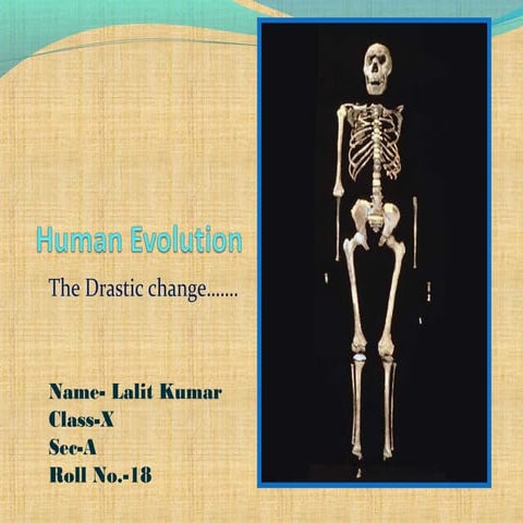 Human Evolution - The drastic change