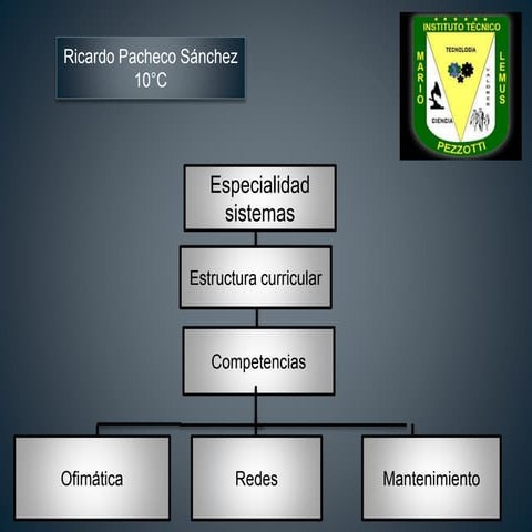 34 pacheco ricardo estructura curricular 04 02 19 1
