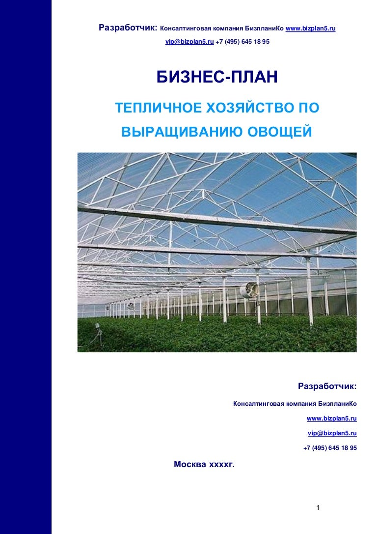 голландские теплицы. зелень в теплице. теплица бизнес план. теплица для зелени. бизнес на теплицах.