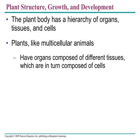 35  plantstructure text