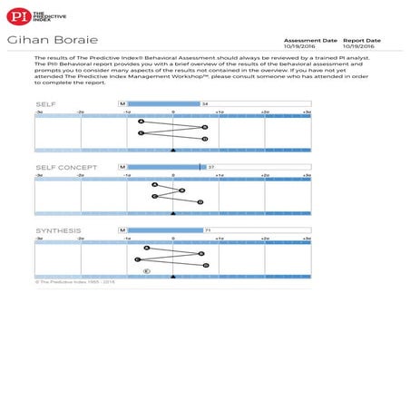 GihanBoraie-PIReport