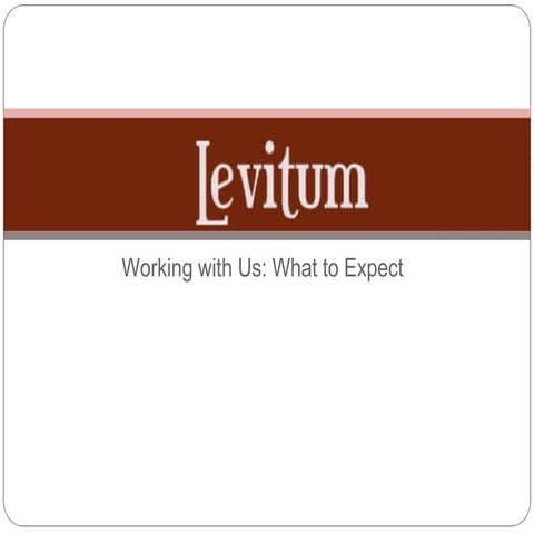Levitum - Working With Us