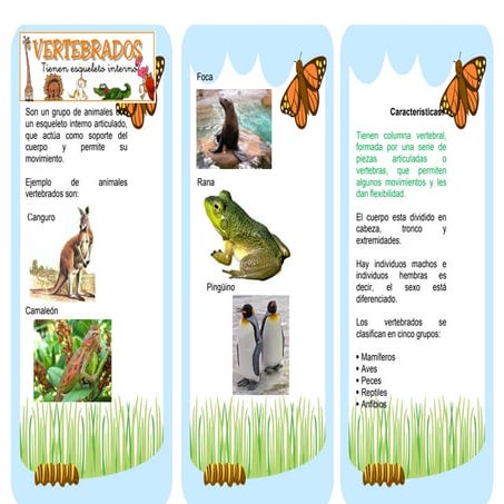 356396166-123381918-Triptico-Vertebrados-e-Invertebrados.docx