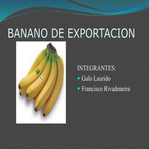 358398724 banano-ppt