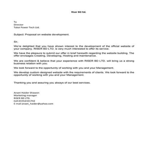 Website design and development economic plan