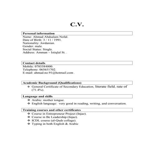 anna cv | PDF