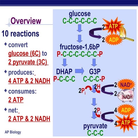 Mol bio classics | PDF