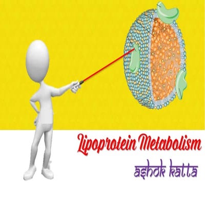 Lipoprotein metabolism - (transport of lipids in the Blood)
