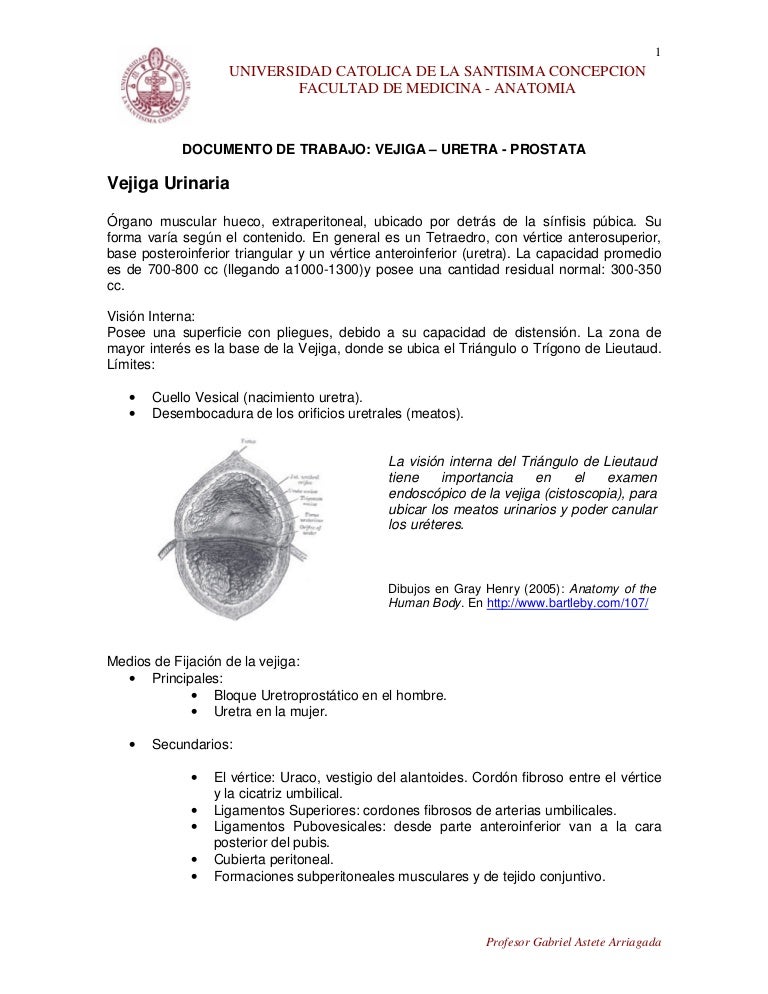 volumen residual normal de la vejiga