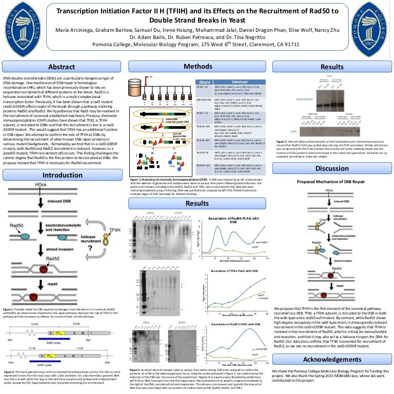 Molecular Biology Lab Poster