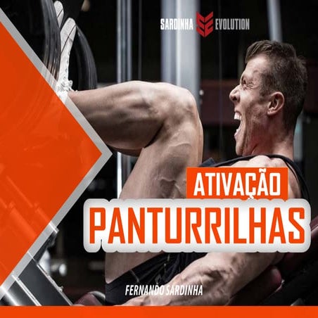 367015595 e book-panturrilha