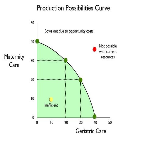 Human natural defence system | PPS