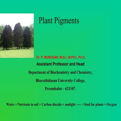 Algaeanx gjdhhbhvhfyhjbhhghhhhhhhhhggggyggg