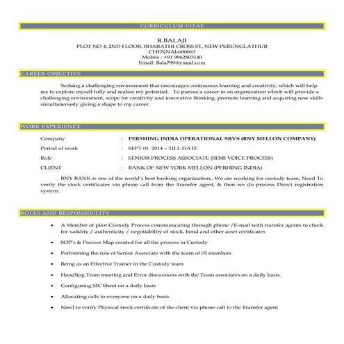 CURRICULUM VITAE - Balaji