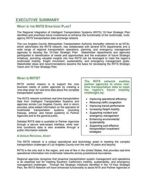 RIITS EXECUTIVE SUMMARY FINAL6.10.10