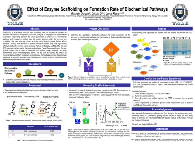 yale poster PPT yale poster PPT