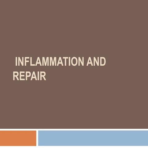 Inflammation and repair