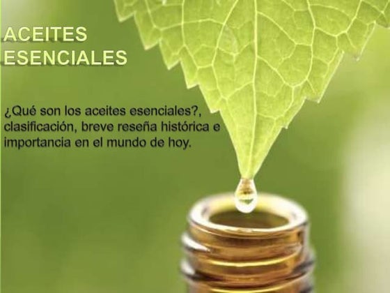 Resultado de imagen de ¡Di adiós a las dolorosas llagas frías con la magia de Aloe vera! infografías