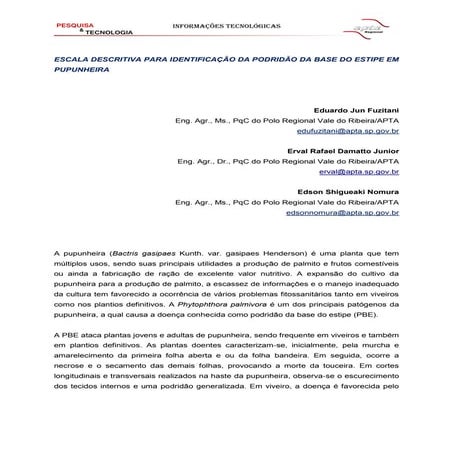 Escala descritiva para identificação da podridão da base do estipe em pupunheira