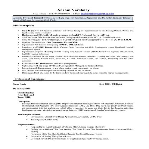 Test Lead_Anshul_Varshney