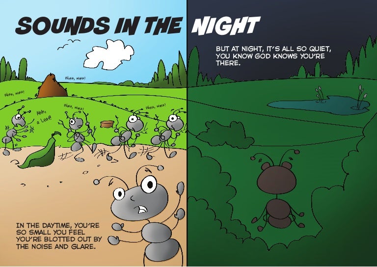 Sounds in the night
