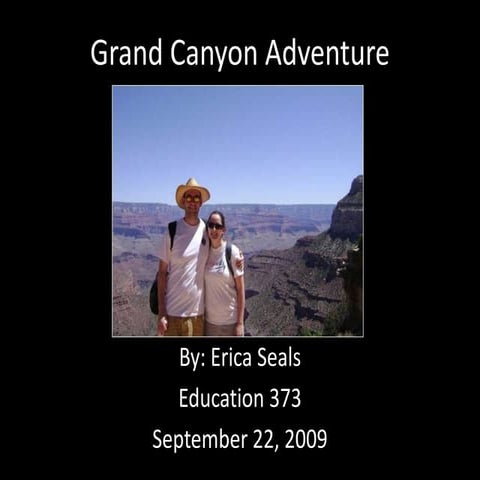 373 Grand Canyon